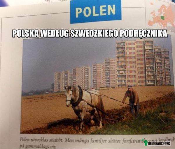 Polska wg. szwedzkiego podręcznika –  