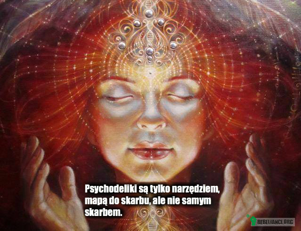 Psychodeliki –  