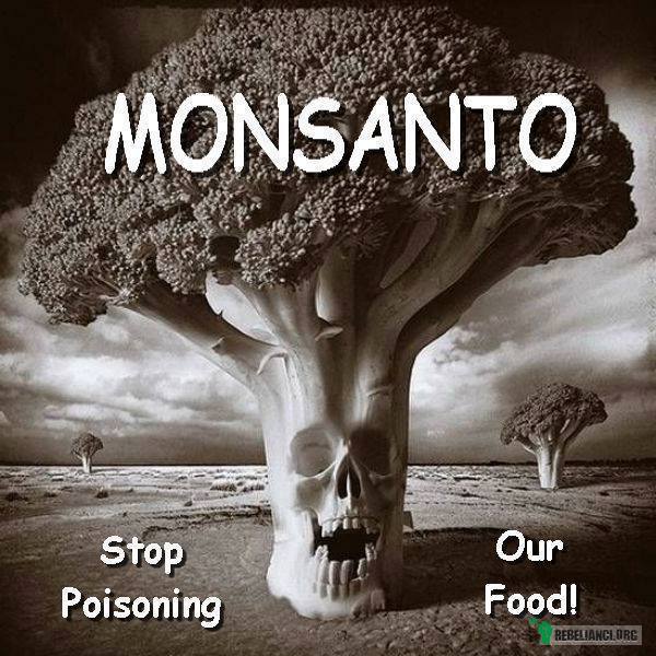 Monsanto –  
