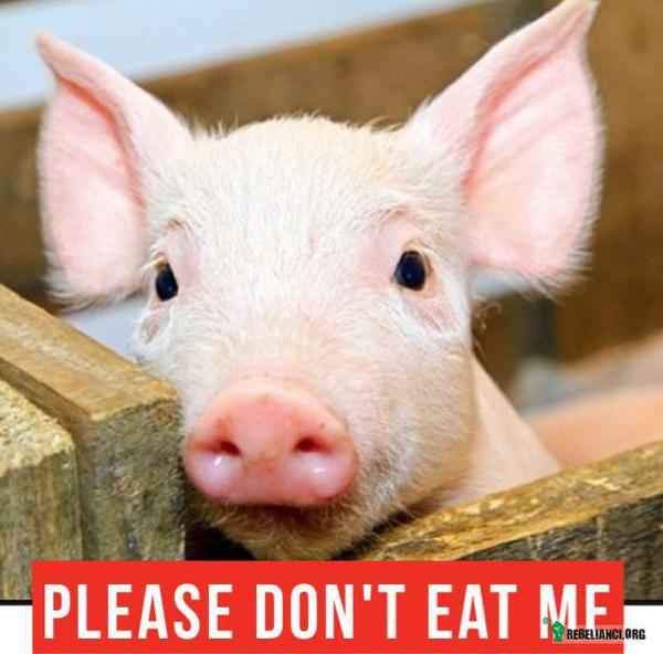 Nie jedz mnie! –  