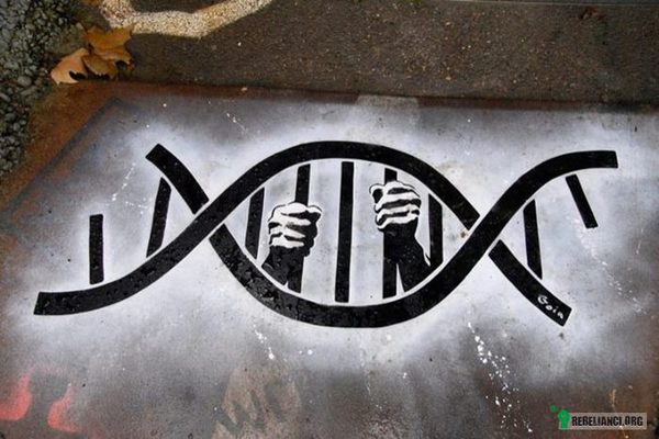 DNA –  