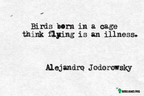 Ptak urodzony w klatce, myśli, że latanie jest chorobą. –  