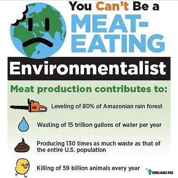 Mięsożerca – Nie możesz być mięsożernym ekologiem. Z powodu produkcji mięsa wycięto 80% lasów amazońskich, marnuje się 56 trylionów litrów wody rocznie, produkuje 130 razy więcej odpadów niż cała populacja USA, zabija 56 bilionów zwierząt rocznie 