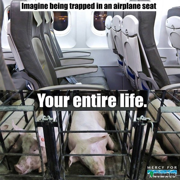Wyobraź sobie – Wyobraź sobie, że jesteś uwięziony w fotelu samolotowym. Przez całe twoje życie. 