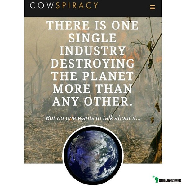 Jest jeden przemysł – Jest jeden przemysł, który niszczy całą planetę, bardziej niż jakikolwiek inny.
Tylko nikt nie chce o tym mówić… 