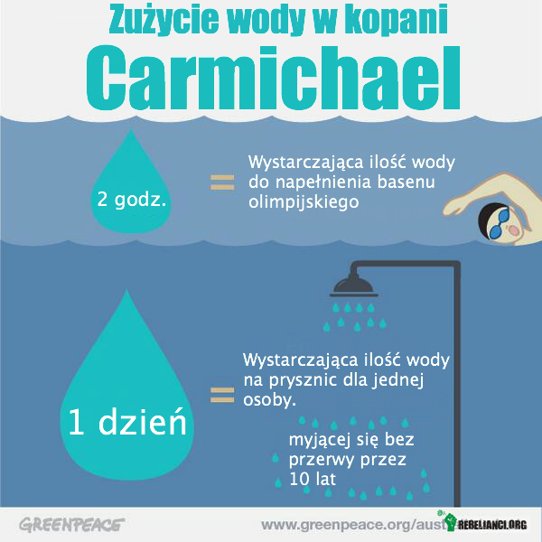 Woda – Zużycie wody w kopani Carmichael:
2h- wystarczająca ilość wody do napełnienia basenu olimpijskiego
-1 dzień-wystarczająca ilość wody dla jednej osoby, która myje się pod prysznicem na 10 lat. 