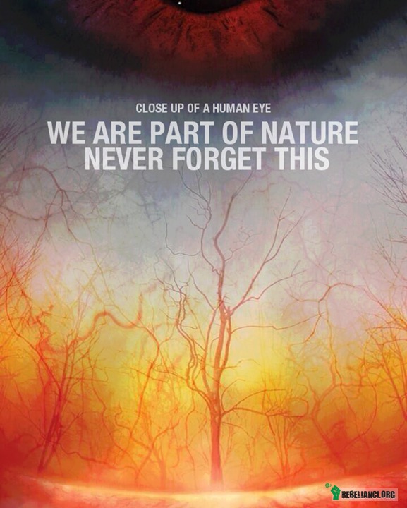Jesteśmy częścią natury, nie zapominaj o tym –  