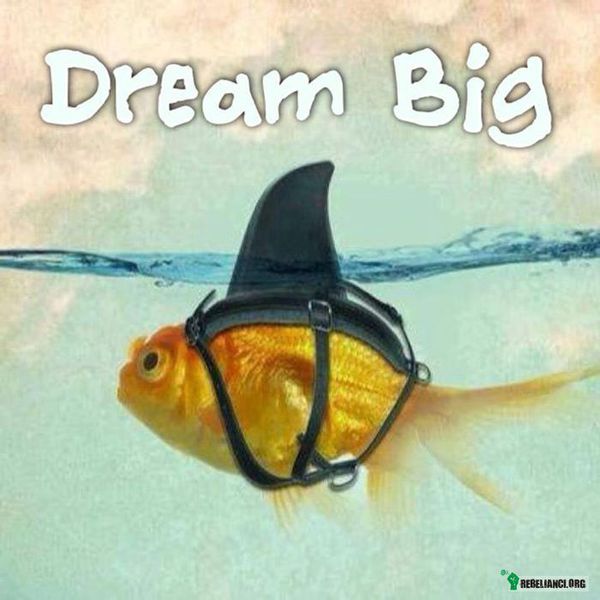 Dream Big –  