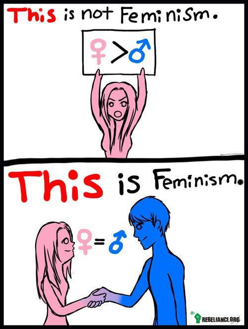 Feminizm –  