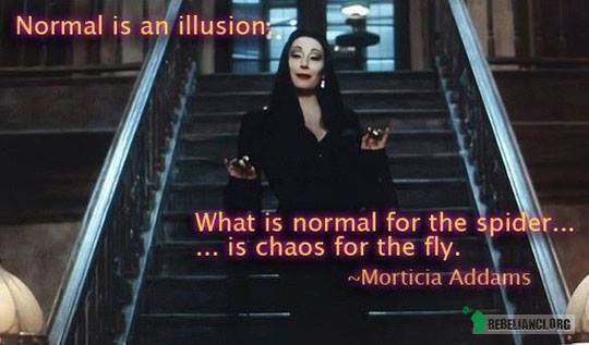 Normalność to iluzja –  