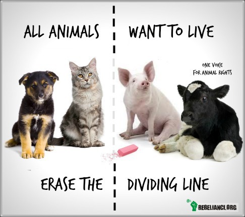 Wszystkie zwierzęta chcą żyć! –  