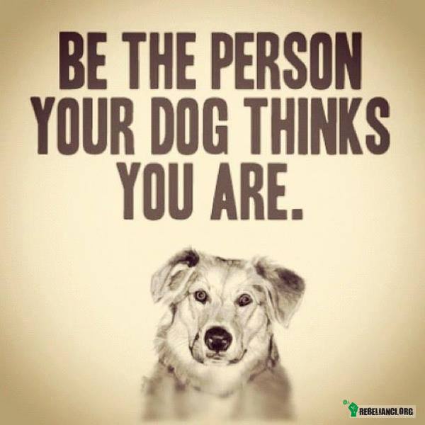 Bądź osobą, którą Twój pies myśli , że jesteś :) –  