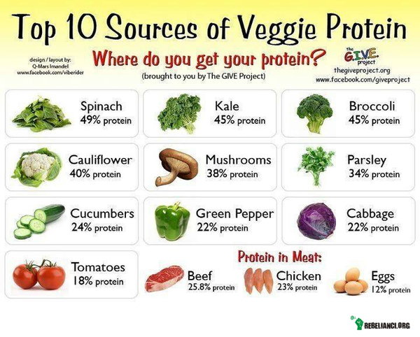 10 najlepszych, wegańskich źródeł białka –  