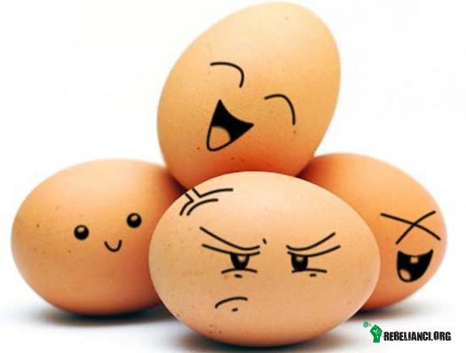 Cholina - Wpływ jajek na zapach ciała – Kpiłem już z producentów jajek, którzy próbowali promować swój produkt jako mający pozytywny wpływ na wzrok, ze względu na zawartą w jajkach luteinę, nie wspominając jednak, że w łyżce szpinaku znajdziemy tyle luteiny ile w 9 jajkach (obejrzyjcie Industry Blind Spot). Powodem, dla którego spotkacie się z tymi informacjami jedynie na stronach internetowych i w programach telewizyjnych, a nie znajdziecie ich na opakowaniach jajek jest to, iż istnieją przepisy prawne zakazujące fałszywych czy też mylących twierdzeń w reklamach. Przemysł nie może więc reklamować się luteiną, ze względu na jej minimalną zawartość w jajkach.
 
To samo dotyczy twierdzenia, iż jajka są źródłem kwasów omega 3, żelaza czy kwasu foliowego. Z tego powodu USDA Agriculture Marketing Service zasugerował, aby przemysł reklamował zawartą w jajkach cholinę, która jest jedną z dwóch składników odżywczych rzeczywiście w jajkach występujących - drugą jest cholesterol. Tak więc zmieniono taktykę, a priorytetem American Egg Board stało się przedstawienie choliny jako niecierpiącego zwłoki problemu, do którego jajka byłyby rozwiązaniem. Rozesłano listy do lekarzy, w których zwracano uwagę na niedobór choliny, jako poważne zagrożenie dla zdrowia publicznego. O wysokiej zawartości cholesterolu w jajkach nikt jednak nie wspominał.
 
W rzeczywistości ludzie spożywają dwukrotnie więcej choliny niż ich dzienne zapotrzebowanie, a zbyt dużo choliny, a nie jej niedobór, jest rzeczywistym problemem. Zbyt duża ilość choliny w organizmie powoduje, iż ciało zaczyna wydzielać rybi odór. Miliony Amerykanów cierpią na defekt genetyczny, który powoduje wydzielanie rybiego odoru i pomocna może tu być dieta uboga w cholinę, jako że cholina przetwarzana jest w naszym organizmie w trimetyloaminę (TMA). Osoby cierpiące na to zaburzenie często przechodzą na weganizm, ponieważ zmniejszenie spożywania produktów zwierzęcych zmniejsza produkcję TMA, a co za tym idzie wydzielanie rybiego odoru. Pozostałe 99% społeczeństwa przekształca cholinę w tlenek trimetyloaminy, który jest 100 razy mniej śmierdzący. Jednak twierdzenie, że dla tych 99% osób cholina jest bezpieczna jest błędne.
 
Badacze z Kliniki w Cleveland odkryli, iż przyswajana z pożywienia cholina jest powodem gromadzenia się blaszki w ludzkich arteriach. To z kolei zwiększa ryzyko chorób serca, udaru i śmierci. W których produktach spożywczych cholina występuje? Przede wszystkim w jajkach, mleku, wątróbce, czerwonym mięsie, drobiu i rybach.
 
Dobrą wiadomością jest, iż może to oznaczać zupełnie nowe podejście do zapobiegania czy leczenia chorób serca - poprzez limitowanie spożywania choliny, co z kolei prowadziłoby do przejścia na dietę roślinną.
 
Cholina może być jedną z przyczyn, dla których osoby na diecie Atkinsa mają zwiększone ryzyko zachorowania na choroby serca, natomiast Ci na diecie dr Ornisha (roślinnej) wręcz przeciwnie. Nowe badania dodają cholinę do listy produktów spożywczych, które zwiększają ryzyko chorób serca, a jajka są w tym wypadku dwukrotnie szkodliwe - zawierają nie tylko cholinę, ale również cholesterol. 