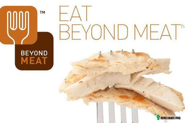 Beyond Meat – Obvious Corporation (spółka zawiązana w 2006 r. przez współzałożycieli Twittera Biz Stone&apos;a /weganin/, Evana Williamsa oraz byłego wice-prezydenta Jasona Goldmana) zazwyczaj wspomaga nowe obiecujące kompanie technologiczne. Jednak tym razem Obvious Corporation, wraz z największą na świecie firmą venture capital Kleiner Perkins Caufield Byers, zainwestowała w Beyond Meat - przedsiębiorstwo produkujące wegańskie &quot;mięso&quot;.﻿
 
Biz Stone tak tłumaczy tę inwestycję: &quot;Ci ludzie nie podchodzą do tego przemysłu, który ma współzawodniczyć z przemysłem mięsnym, w stylu jakiejś nowości czy odlotu hippisowskiego, ale pod kątem wielkiej nauki, super praktycznie i z odpowiedniego punktu. Twierdzą oni, że chcą współzawodniczyć z przemysłem mięsnym﻿ mięsem wyprodukowanym na bazie roślinnej.&quot; 