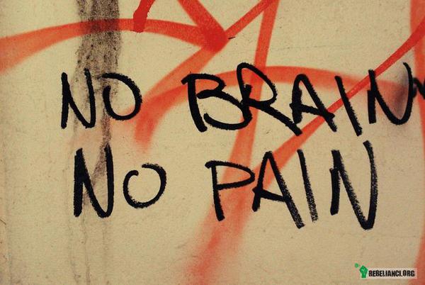 No brain no pain –  