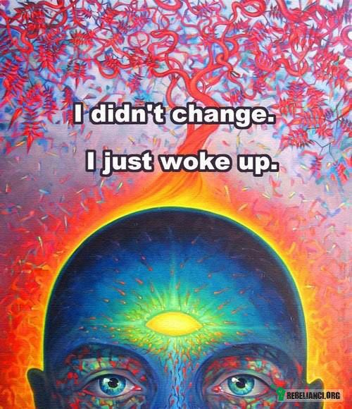 Nie zmieniłem się, po prostu się obudziłem . –  