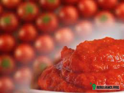 Koncentrat i ketchup – Koncentrat:

Pierwotnie koncentrat pomidorowy wytwarzany był własnoręcznie jako dodatek do gotowania we włoskiej kuchni. Receptura szybko upowszechniła się w innych krajach śródziemnomorskich, a potem na całym świecie. Dziś koncentrat jest produkowany i wytwarzany niemal wyłącznie przez wyspecjalizowane firmy.
Koncentrat pomidorowy powstaje z samych pomidorów i w celu uzyskania lepszej trwałości jest poddawany pasteryzacji. Obróbka termiczna wystarcza, aby produkt uzyskał trwałość, dlatego nie powinien zawierać dodatkowych konserwantów. Na rynku znajduje się wiele produktów spełniających te wymogi. Zawierają one około 50% suchej masy powstałej na bazie pomidorów i są zdrowsze od nieprzetworzonych owoców, ponieważ w tej postaci zawierają  wiele więcej  likopenu. Koncentrat pomidorowy zawiera również sporą ilość potasu – nie traci go w procesie przetwarzania.

Jak wybierać?
Sprawdź czy koncentrat nie zawiera dodatkowych składników, powinien być wytwarzany wyłącznie z pomidorów.
Czy koncentrat może mieć różną intensywność?
Tak, zwłaszcza koncentraty produkowane we Włoszech, mogą mieć mocniejszy smak i zapach.

Dobrze znany ketchup.
Prawie każdy z nas lubi ketchup, nawet jeśli kojarzy się on zazwyczaj z szybkim, niezdrowym jedzeniem, jak zapiekanki czy hamburgery. Wbrew pozorom ketchup nie jest wytworem kuchni amerykańskiej, ale azjatyckiej. W swej pierwszej, oryginalnej postaci nie miał jednak wiele wspólnego ze znanym nam smakiem. W formie bardziej zbliżonej do dzisiejszej  ketchup upowszechnił się w kuchni brytyjskiej, a potem amerykańskiej.
Ketchup kupowany w sklepach jest tylko częściowo zdrowy. Mało który produkt pozbawiony jest jednocześnie konserwantów i niezdrowych wzmacniaczy smaku. Mimo to, ketchup podobnie jak koncentrat pomidorowy, zawiera duże ilości zdrowego likopenu. Według badań w gotowanych pomidorach, z których wytwarzany jest ketchup, znajduje się pięć razy więcej likopenu niż w świeżych pomidorach.
Jak wybrać zdrowy ketchup?
Przed zakupem należy uważnie sprawdzać informacje na opakowaniu. Produkt nie powinien zawierać konserwantów i niezdrowych wzmacniaczy smaku, takich jak glutaminian sodu. Ketchup o wysokiej zawartości likopenu ma ciemnoczerwoną barwę.
  
Pomidorowe inspiracje…

SOK Z POMIDORÓW I BANANÓW
Do pojemnego naczynia dodaj dwie szklanki soku pomidorowego, dwa banany, sok z połówki cytryny i łyżkę posiekanej pietruszki. Zmiksuj wszystko i podaj w wysokiej przezroczystej szklance. Sok można udekorować kilkoma listkami pietruszki. Smacznego!
  
 Z CZYM ŁĄCZYĆ ,A Z CZYM NIE ŁĄCZYĆ POMIDORA
Konsumujemy je na wiele sposobów, między innymi zjadamy jak jabłko, podajemy z oliwą i mozarellą, albo na ich bazie przygotowujemy zupę. Większość z nas uważa je za warzywo, podczas gdy pomidory z botanicznego punktu widzenia są owocem. Pomidory są bogate w bardzo korzystny dla zdrowia przeciwutleniacz – likopen. Jest to nienasycony węglowodan, który zapobiega utlenianiu tzw. złego cholesterolu (LDL). Owoce pomidora są poza tym bogate w wiele zdrowych pierwiastków, jak sód, magnez, potas, wapń oraz witaminy grupy B, witaminę C. 

Z pomidorami wiąże się wiele mitów. Chyba najpopularniejsze jest przekonanie o niekorzystnym połączeniu pomidora z ogórkiem. Ogórek istotnie zawiera enzym askorbinowy, który niszczy witaminę C znajdującą się także w innych składnikach potraw. Przygotowując sałatkę, w której znajduje się ogórek i pomidor stracimy pewną ilość witaminy C, nadal zyskujemy jednak wiele innych cennych substancji odżywczych. Pomidor nie jest również najlepszym dodatkiem do białego sera. Spożywanie go w tym połączeniu w dużych ilościach może narazić nas na chorobę stawów. Nie powinniśmy natomiast obawiać się skrapiania pomidorów oliwą, ponieważ tłuszcze ułatwiają przyswajanie zdrowego likopenu. 