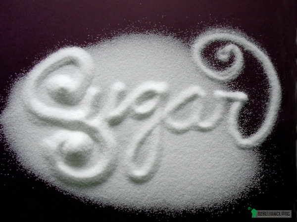 Jak szkodzi cukier. – 49 kg  - tyle zjadamy cukru rocznie, podczas gdy średnie spożycie w Europie wynosi 39 kg. Przodując pod tym względem w UE, Polacy wyrządzają sobie dużą krzywdę, nie tylko ze względów estetycznych (nadmiaru cukru odkłada się w postaci tkanki tłuszczowej), lecz również zdrowotnym,

Krótko i na temat – częste jedzenie cukru to wysokie ryzyko pojawienie się chorób: cukrzyca, nadciśnienie, choroby serca, miażdżyca, otyłość, nowotwory (jelita grubego, trzustki, piersi – to tylko niektóre przykłady udowodnione naukowo). Czy wiesz, że wiele z tych chorób zostało zdiagnozowanych dopiero pod koniec XIX wieku, kilka lat po tym, gdy cukier zagościł powszechnie na stołach mieszkańców krajów rozwiniętych? jest  to wystarczający powód, aby zarwać ze zgubnym nałogiem.

Rak żywi się cukrem!

Cukier odżywia pasożyty i guzy, sprawia, że rosną szybciej.

Biała mąka + cukier = wzrost komórek, pożywka dla guzów, grzybów i szkodliwych bakterii

Bardzo niepokojący jest fakt, że w akademiach medycznych prawie w ogóle nie poświęca się uwagi diecie. W większości uczelni pojęcia z zakresu żywienia rozsiane są po innych dyscyplinach.

Rak spoczywa uśpiony w każdym z nas

Nasze ciała produkują wadliwe komórki, jak wszystkie inne żywe organizmy. Tak powstają guzy. Nasze ciała zostały jednak wyposażone w mechanizmy, które wykrywają takie komórki i kontrolują ich rozwój. W świecie tzw. zachodnim, na raka umiera jedna osoba na cztery, ale trzy na cztery nie. Ich mechanizmy obronne spełniają swoje zadanie i osoby te umierają z innych przyczyn.

Rak jest coraz bardziej rozpowszechniony na Zachodzie; wzrost liczby zachorowań obserwuje się od lat czterdziestych ubiegłego wieku.
W ciągu minionych pięćdziesięciu lat trzy zasadnicze czynniki w sposób drastyczny zmieniły nasze środowisko naturalne:
 
    W naszej diecie zwiększyła się ilość oczyszczonego cukru.( W 1830 roku spożycie cukru wynosiło pięć kilogramów, a pod koniec XX wieku osiągnęło szokującą wartość siedemdziesięciu kilogramów.)
    Nastąpiły zmiany w uprawie roślin i hodowli zwierząt, które spowodowały zmiany w składzie chemicznym spożywanej przez nas żywności.
    Stykamy się z ogromną liczbą produktów chemicznych, które nie istniały przed 1940 rokiem.

Nasze geny rozwijały się w środowisku, w którym rocznie na osobę przypadały najwyżej dwa kilogramy cukru w miodzie. 

Niemiecki biolog Otto Warburg zdobył Nagrodę Nobla w dziedzinie medycyny za odkrycie, żemetabolizm guzów złośliwych jest w dużej mierze uzależniony od spożycia glukozy.Badania typu PET, stosowane w celu wykrycia raka, często polegają na zidentyfikowaniu w ciele obszarów pochłaniających najwięcej glukozy. Jeśli jakiś jego fragment wyróżnia się na tle reszty wchłanianiem zbyt wielkiej ilości glukozy, bardzo praw­dopodobną przyczyną tego zjawiska jest rak.

Kiedy spożywamy cukier lub białą mąkę – substancje odznaczające się wysokim indeksem glikemicznym – poziom glukozy we krwi gwałtownie rośnie, ponieważ organizm natychmiast uwalnia dawkę insuliny po­zwalającą glukozie wniknąć do komórek.

Wydzielaniu insuliny towarzyszy uwalnianie innego związku zwanego IGF (insulinopodobny czynnik wzrostu), którego zadaniem jest stymulowanie wzrostu komórek.

Innymi słowy cukier odżywia tkanki i sprawia, że rosną szybciej. Ponadto insulina oraz IGF wywołują pewien wspólny efekt:

podsycają procesy zapalne, które stymulują wzrost komórek i służą jako odżywka dla guzów.

Obecnie wiadomo już, że nagłe skoki poziomu wydzielania insuliny i IGF nie tylko podsycają wzrost komórek rakowych, lecz także ich zdolność wnikania do sąsiadujących tkanek.

Każdy może zredukować ilość oczyszczonego cukru i białej mąki w diecie. Wykazano, że zwyczajne zmniejszenie zawartości tych składników błyskawicznie oddziałuje na poziom insuliny i IGF we krwi. Innym efektem takiego działania jest poprawa stanu zdrowia skóry.

Spożycie cukru a trądzik 

Związek między poziomem cukru we krwi i stanami zapalnymi może się wydawać naciągany. Jak bowiem cukierek, kostka cukru w filiżance kawy lub kromka białego chleba z dżemem miałaby wpływać na fizjologię ludzkiego organizmu? Tymczasem, gdy przeprowadzimy analizę wyprys­ków na skórze, stwierdzimy, że związek ten jest oczywisty. 

Doktor Loren Cordain zajmuje się badaniami nad odżywianiem na Uniwersytecie Kolorado. Usłyszawszy, że pewne społeczności, których styl życia bardzo różni się od naszego, nie cierpią na trądzik (trądzik jest między innymi efektem zapalenia naskórka), postanowiła zbadać to zagadnienie, gdyż to twierdzenie wydało jej się niedorzeczne. Trądzik jest czymś w rodzaju rytuału przejścia w dorosłość, dotykającego od 80 do 95% nastolatków w krajach zachodnich. Doktor Cordain zgromadziła zespół dermatologów, którzy mieli zbadać skórę tysiąca dwustu nastolatków żyjących na odciętych od świata wyspach w Nowej Gwinei oraz stu trzydziestu Indian z plemienia Ache w Paragwaju. Badacze nie wykryli w tych grupach ani śladu trądziku. W artykule zamieszczonym w czasopiśmie „Archives of Dermatolo-gy” przypisują to sposobowi odżywiania przebadanych nastolatków. Diety tych współczesnych odosobnionych populacji ludzkich przypominają diety naszych dalekich przodków, nie zawierają bowiem cukru i białej mąki, a – co za tym idzie – w ich krwi nie dochodzi do nagłych skoków poziomu insuliny i IGF.

Czym bezpiecznie zastąpić?

Pod żadnym pozorem nie słodź aspartamem, ani nie spożywaj żywności zawierającej aspartam!

Zastosuj:ksylitol, stevia,

Ksylitol cukier brzozowy posiada wielokrotnie niższy indeks glikemiczny (IG:8) niż glukoza czy sacharoza indeks glikemiczny dziewięciokrotnie niższy od cukru (sacharozy). Ksylitol nie fermentuje w przewodzie pokarmowym tak jak glukoza, fruktoza, sacharoza czy laktoza. Podobnie jak cukier może być stosowany do przeróbki w wysokich temperaturach. Ksylitol jest powoli przetwarzany w organizmie z minimalnym udziałem insuliny, wskutek czego posiada ponad dziewięciokrotnie niższy indeks glikemiczny od cukru. Dzięki temu jest bardzo bezpieczny dla diabetyków. Utrzymując niski poziom insuliny, przeciwdziała procesom przedwczesnego starzenia się. Ponadto zawiera prawie2-razy mniej kalorii niż cukier!

Stevia (Stevia Rebaudiana) to zioło zwane „słodkim zielem”, bardzo popularne w Brazylii i Paragwaju (mniej więcej tak jak u nas szałwia czy mięta).
Znane tam od setek lat, a od ok. 40 lat niezwykle popularne w Japonii, ostatnio również w USA – prowadzono nad nią badania na kilku Uniwersytetach. W Europie stevia nie otrzymała atestu mimo, że po 15 latach obowiązkowych badań nie wykazała żadnych skutków ubocznych. Kupić ją można w Polsce, pod postacią soku czy suszonych liści.

Stevia jest kilkaset razy słodsza od cukru  ma właściwości antybakteryjne, jest bogata w naturalne olejki i substancje odżywcze, bezpieczna dla cukrzyków. Ma lekko mdławy posmak jest słodzikiem w 100% naturalnym, bezpiecznym dla organizmu i dobrze znosi gotowanie, pieczenie etc. Stevia  IG: 5

Powinno się także unikać białego ryżu i zastępować go brązowym lub białym ryżem basmati o znacznie niższym indeksie glikemicznym. A przede wszystkim spożywać warzywa i owoce roślin strączkowych (fasolę, groch, soczewicę). Charak­teryzują się one niskim indeksem glikemicznym, a poza tym zawarte w nich chemiczne związki roślinne intensywnie zwalczają raka.


Niesłychanie ważne jest unikanie słodyczy i przekąsek między posiłkami. Gdy w tym czasie podjadamy ciastka (albo cukier), nic nie powstrzymuje wzrostu poziomu insuliny. Tylko ich łączenie z innymi produktami, zwłaszcza z włóknami warzyw i owoców lub przyjaznymi tłuszczami (takimi jak oliwa z oliwek bądź masło organiczne), spowalnia asymilację cukru i zmniejsza skoki insuliny. W taki sam sposób niektóre owoce i warzywa – takie jak cebula, czosnek, jagody, wiśnie i maliny – ograniczają wzrost zawartości cukru we krwi.

Dieta oparta na produktach o niskim indeksie glikemicznym ogranicza ryzyko wzrostu raka. Zespół badawczy szpitala Hotel-Dieu w Paryżu wykazał, że jednocześnie pozwala ograniczyć ilość tkanki tłuszczowej na rzecz tkanki mięśniowej. 