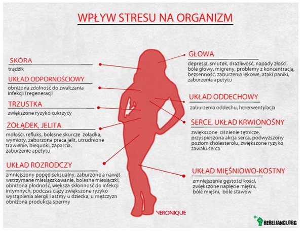 Wpływ stresu na organizm –  