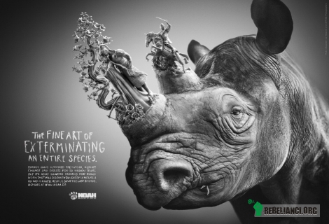 Rzeźby, które zabijają – Hasłem kampanii Rhino (Nosorożec) jest &quot;The fine art of exterminating an entire species&quot; (Sztuka eksterminacji całego gatunku).  Jest częścią akcji prowadzonej przez niemiecką organizację NOAH Menschen für Tiere e.V., działającej na rzecz zwierząt. Ma na celu pokazać wagę wpływu popytu rynku na kości nosorożca na liczebność tego gatunku. 