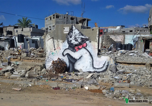 Kot z Gazy - Nic nie pozbawi nas kreatywności –  