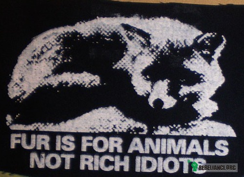 Zwierzęta – Futro jest dla zwierząt, a nie bogatych idiotów 